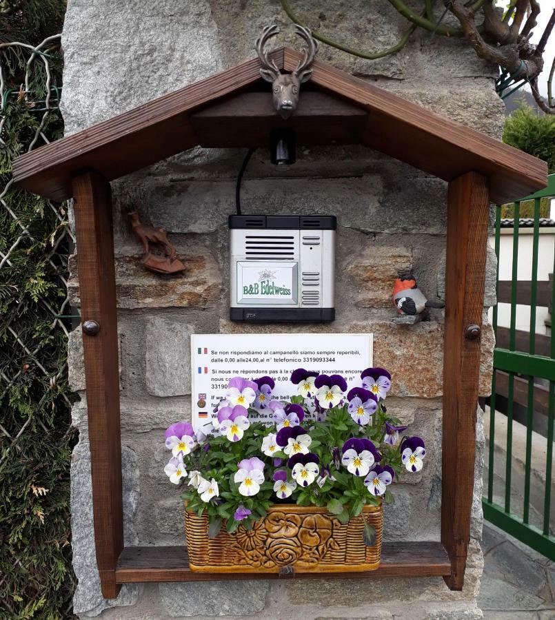 B&B Edelweiss Oulx Rom bilde